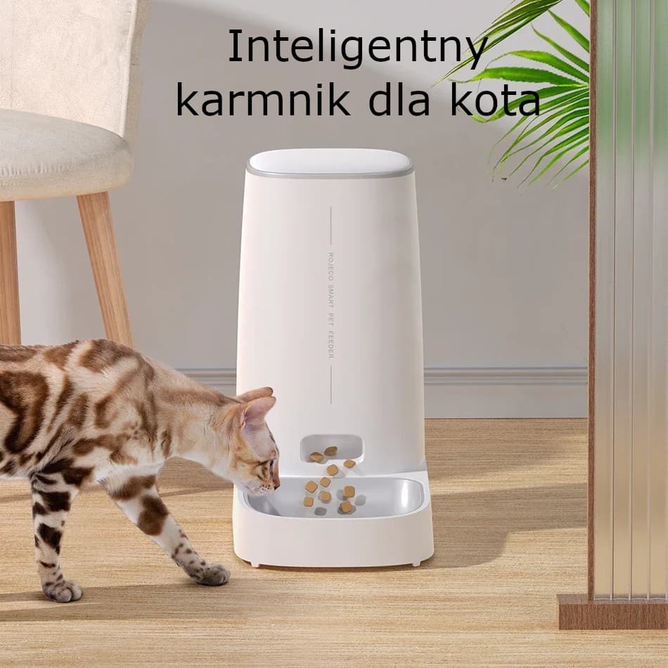 Inteligentny Automatyczny Karmnik dla Kotów ze Zdalnym Sterowaniem przez Telefon 🐈